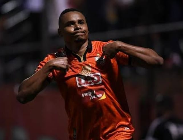  费耶诺德足球俱乐部官网 