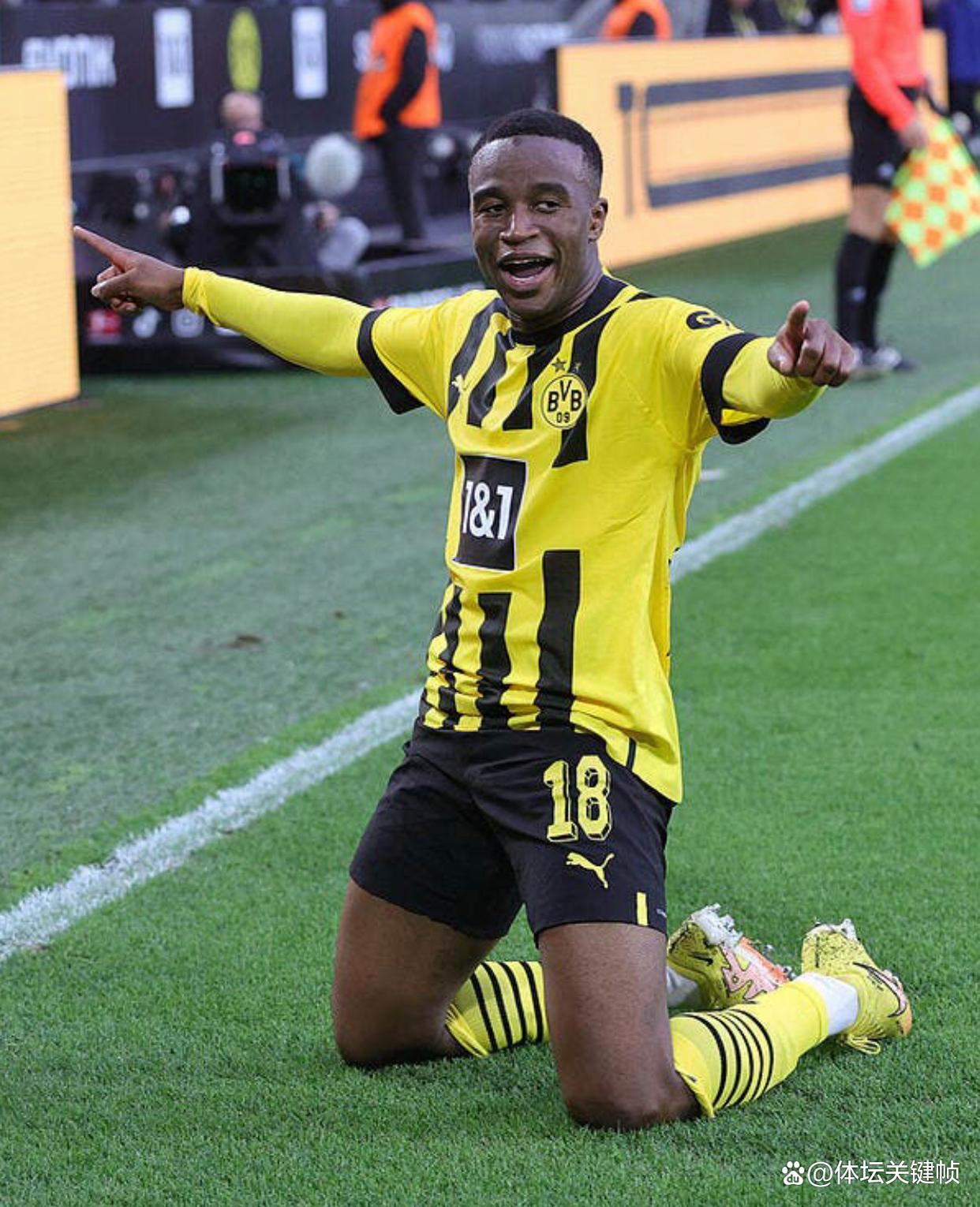 国际比赛日突围战来临，丹佛掘金围绕欧冠造点机会，媒体盛赞，年轻球员得到机会的简单介绍